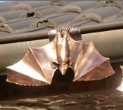 Kunstvoll aus Kupfer gefertigte Fledermaus als Dachdetail — Beispiel für eine Maßanfertigung von Fink Spenglerei